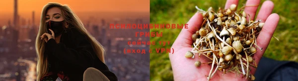 экстази Белокуриха