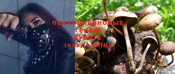 ешки Белоозёрский