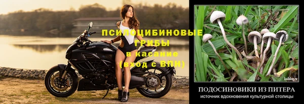 экстази Белокуриха