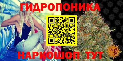 крисы Пушкино